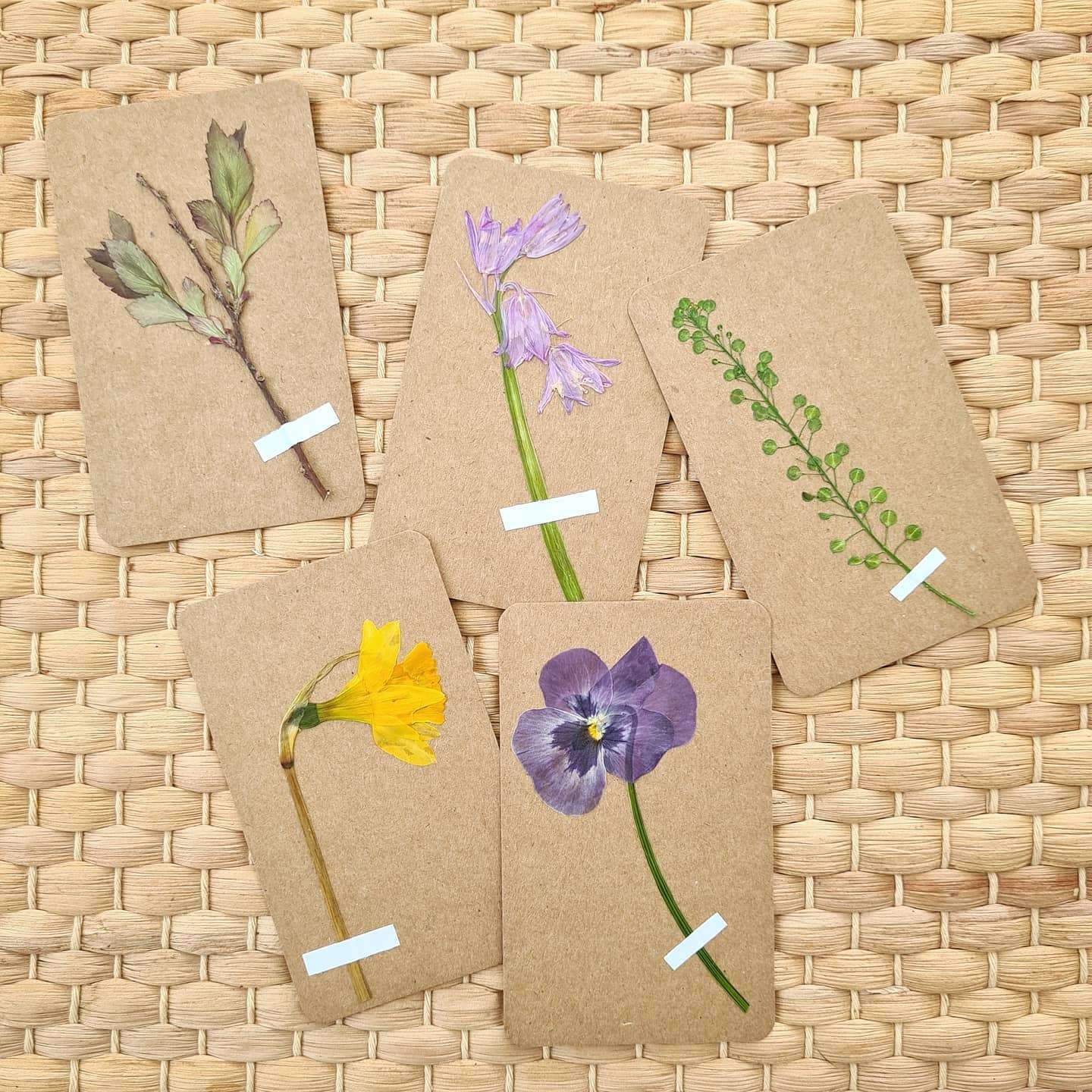 On the agenda today has been making some more of these pressed flower message cards.
I always love how the flowers come out the press and it's so hard to choose a favourite! 🥰
Today I think the pansy is my favourite.. or maybe the bluebell?! But I also really love the lepedium! 🤔
Which one is your favourite? Or are you like me and can't choose? 😄
#flowerpress #pressedflowers #flowerpressing #flowerstagram #flowersofinstagram #flowerlove #madewithlove #handmade #flowerart #flowermagic #shopsmall #underthefloralspell #floraldesign #floraldesigner #slowfloralstyle #florallove #winchesterflorist #heartbeeflowers #winchesterflowers
#independentflorist #independentshop